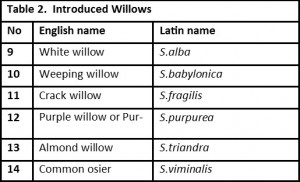 WillowTable2