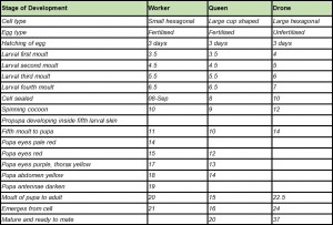 Development Table Development Table.png