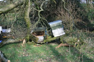 Crushed Polystyrene Hive