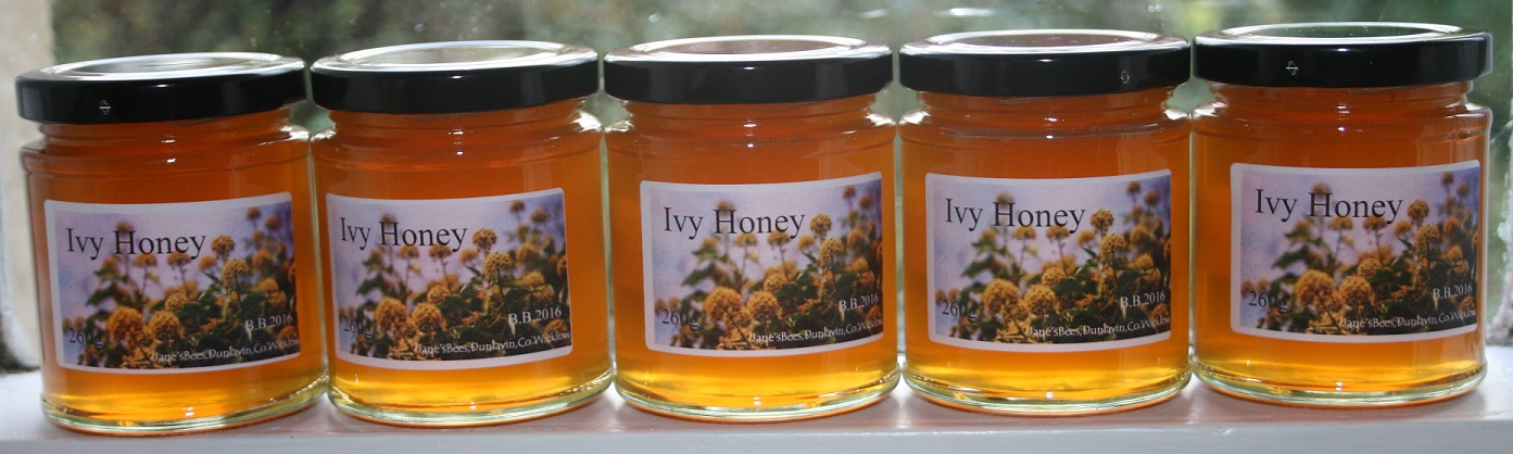 Ivy honey - all dressed up for the market