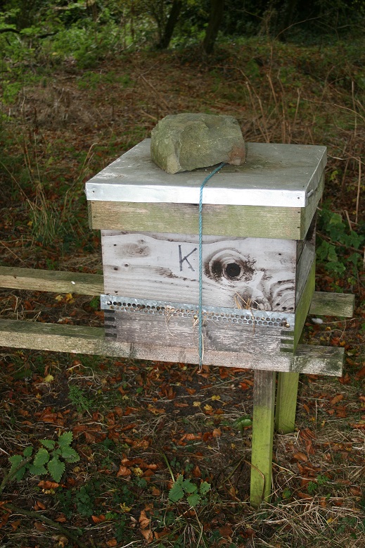 Bee hive up high on a hive stand for winter with mouseguard fitted