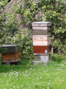 Scale Hive in Action