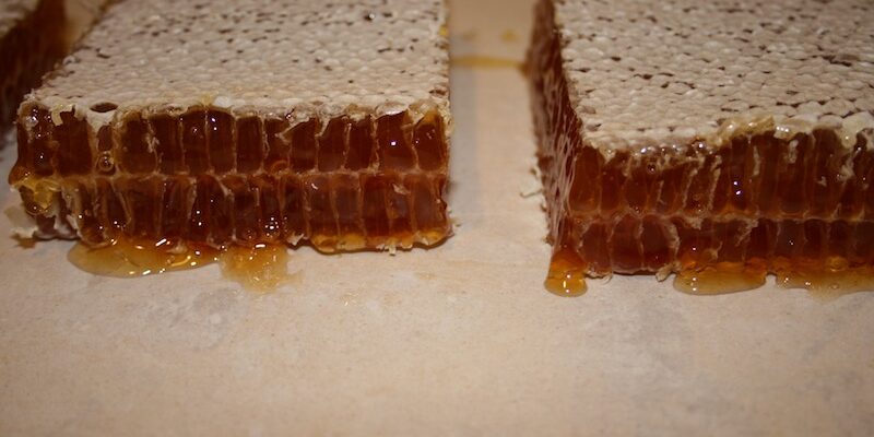 Cut comb heather honey