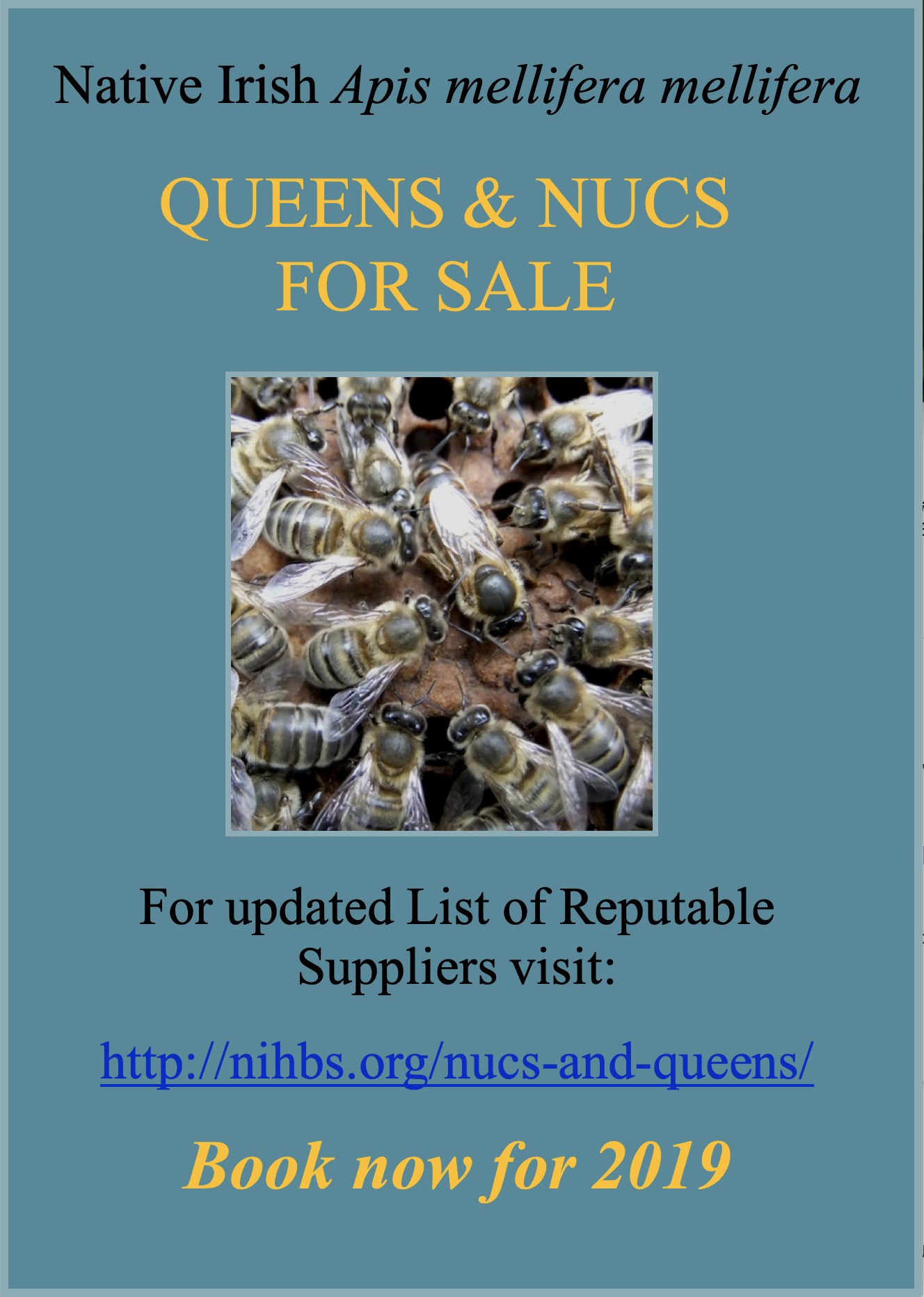 Native Bee Suppliers 2019