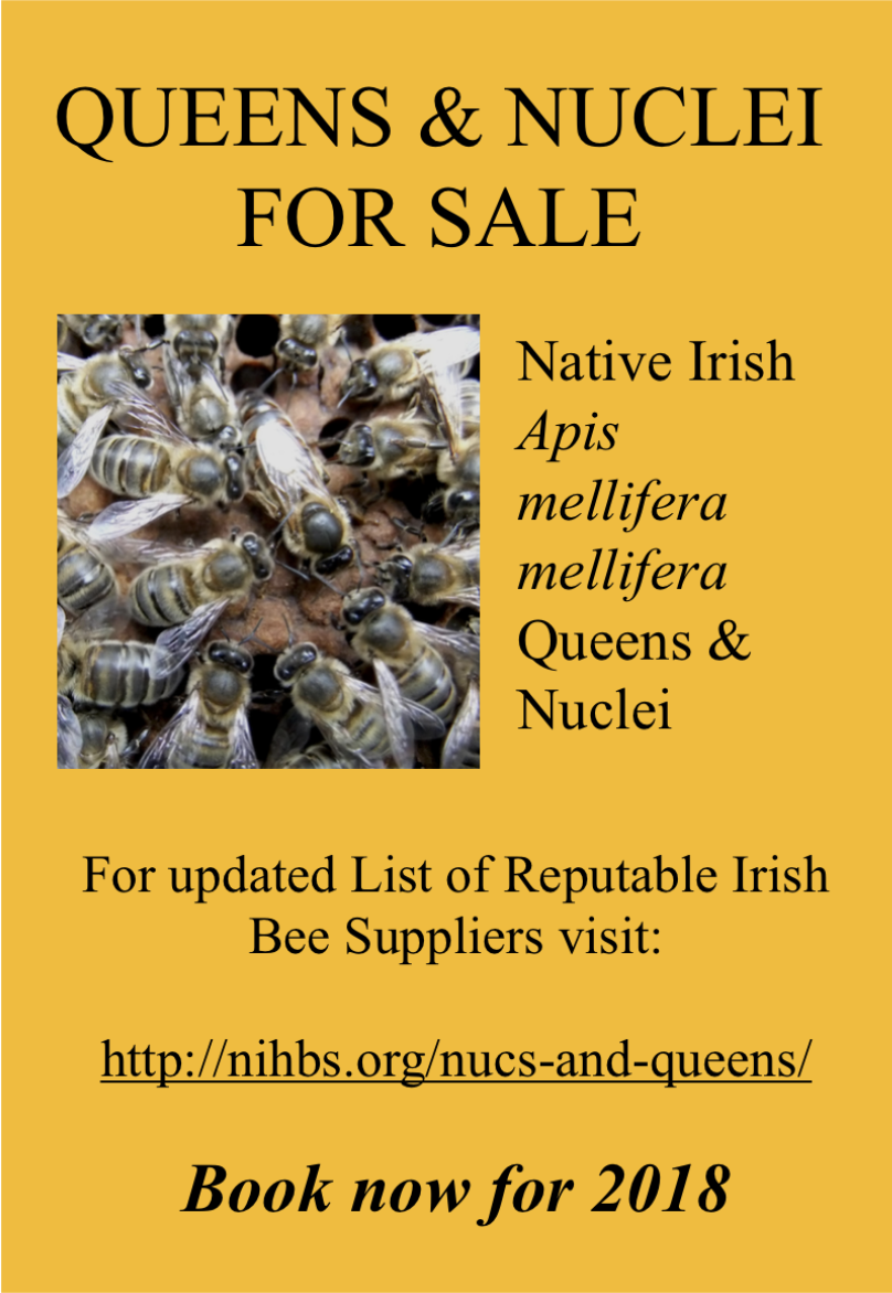 Native Irish Bee Suppliers