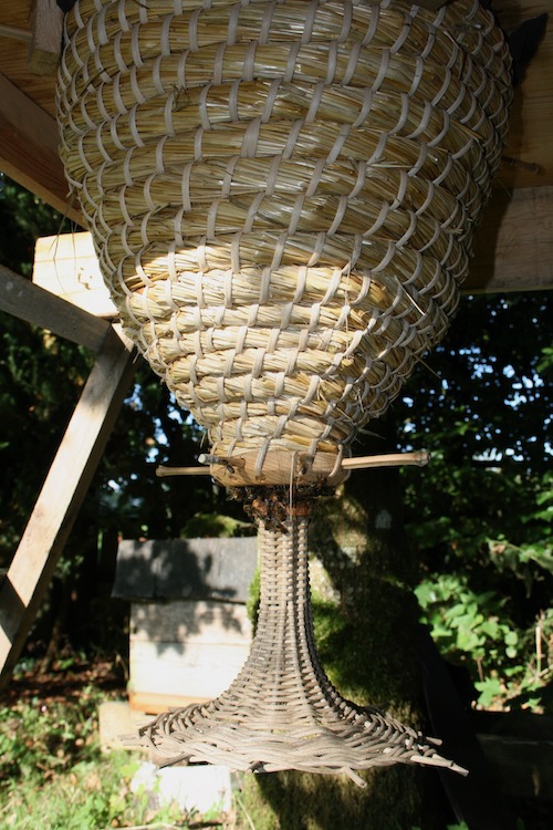 Sun hive entrance funnel