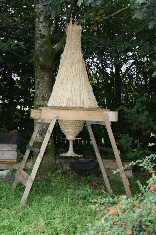 Sun hive with hackle